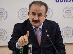 Детский университет, коворкинг-центр и рост количества стобалльников стали первыми победами опорного вуза Ростова