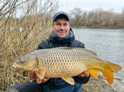 Рыбак из Ростовской области вытащил «золотого» сазана весом почти 4 килограмма