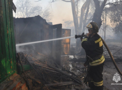 В Ростовской области за неделю пожарные спасли из огня 11 человек 