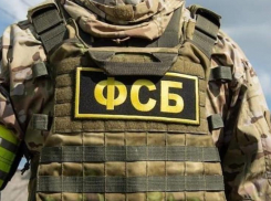 Жителя Ростова заподозрили в попытке совершить госизмену