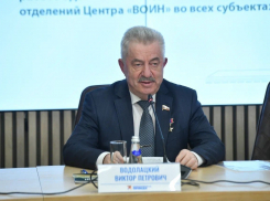 Депутат Водолацкий рассказал о причинах атак ВСУ на Ростовскую область