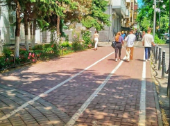 Алексей Логвиненко поручил обновить разметку для велосипедистов на Пушкинской