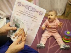 В Ростовской области уже 165 тысяч семей получили сертификаты на материнский капитал