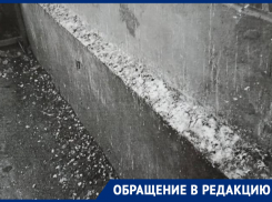 Жители многоквартирного дома в Ростове пожаловались на бездействие управляющей компании