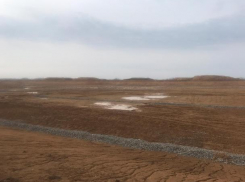 Около МЭОК под Ростовом скотомогильников не обнаружено