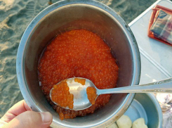 Маленький заводик по производству красной икры организовал у себя дома находчивый ростовчанин