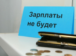 Долги по зарплате предприятий-банкротов Ростовской области снизились на 31%