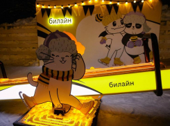 Подарок на новый год: популярные модели смартфонов по специальной цене в билайне