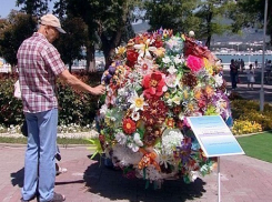 В Ростове появятся новые клумбы с цветами