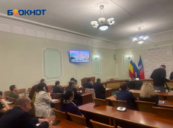 Общественники Ростова недовольны новым проектом «Дружба» и просят его переделать