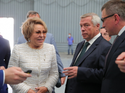 Голубев отчитался Валентине Матвиенко о крупных пожарах в регионе