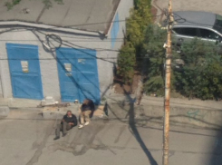 Гадящие под себя бомжи поселились у модного ресторана в центре Ростова и возмутили горожан