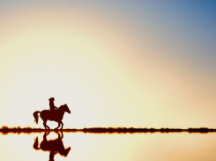 В Ростовской области чиновники незаконно продали пруд в частные руки