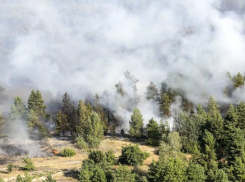О чрезвычайной пожароопасности экстренно предупредили жителей Ростовской области