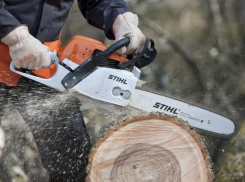 Суд разрешил ростовской компании не платить за вырубленные деревья