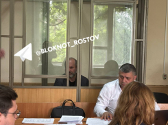 Оружие нашел в Дону: в суде над донским замгубернатора Кушнаревым выступили понятые 