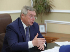 Василий Голубев обратился к жителям Ростовской области