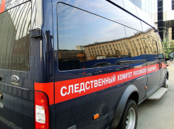 Отдых для 4-летней девочки закончился смертью в ростовской больнице