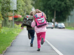 Обидевшаяся на школу третьеклассница поставила на уши учителей и родителей в Ростовской области