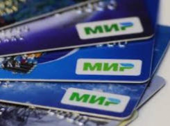 Платежную систему «Мир» на Дону будет внедрять рабочая группа 