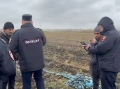 Список запрещенных для мигрантов профессий расширили в Ростовской области 