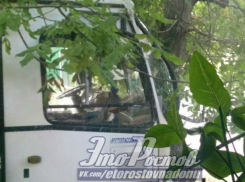 В ДТП с автобусом в Ростове пострадал 19-летний пассажир