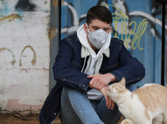 Большинство новых зараженных коронавирусом из Ростова