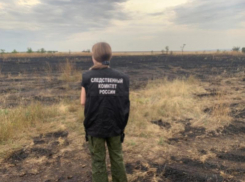 В Ростовской области совершил жесткую посадку легкомоторный самолет «Бекас»
