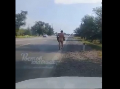 Обнаженным прошелся по трассе М4 Дон импозантный мужчина в поисках прикрытия