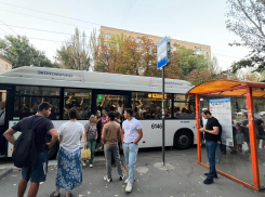 «Едем 700 метров два часа»: жители района Ростовского моря пожаловались на адские пробки