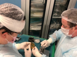 Ростовские медики спасли школьницу с тяжелым заражением от ампутации пальца 