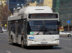 Перевод автобусов Ростова на брутто-контракты обойдется в 2,5 млрд рублей