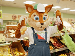 Фрукты-фрукты-фрукты: расскажем, как ростовчанам сделать экозамену пакетам