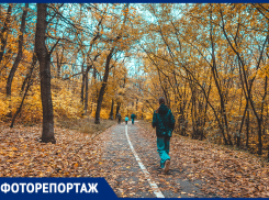 Темнота, мусор и старые площадки: осень в парке Авиаторов глазами ростовчан