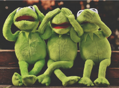 «Лицо, вес, фигура»: ростовские работодатели рассказали, как отказывали соискателям из-за внешности