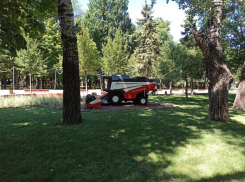 Вместо ларьков на улице Сержантова в Ростове поставят деревянный комбайн