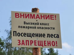 Жителям Ростовской области запретили посещать леса