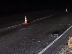 В Морозовском районе Ростовской области пешехода сбил КАМАЗ