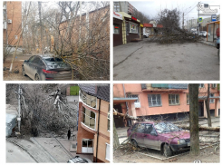 В Ростове ветер ломал деревья и опрокидывал жбаны