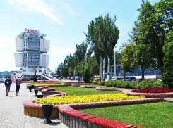 Ростовчан приглашают помять травку, посмотреть цирковую программу и выступление кавер-групп