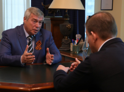 Губернатора Василия Голубева раскритиковали за знание устойчивых выражений 