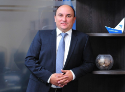 Супруга ростовского депутата Величко владеет грузовиком и сараем, зарабатывая ноль рублей в год