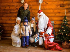 Показательные новогодние кормления волков и слонов устроил ростовский зоопарк