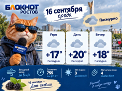 Небольшое похолодание прогнозируют в Ростове 16 сентября
