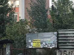 Страдающие от амброзии и бездомных животных ростовчане скоро смогут вздохнуть спокойно