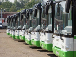 Власти Ростова закупят сто новеньких автобусов за 1,1 миллиарда рублей