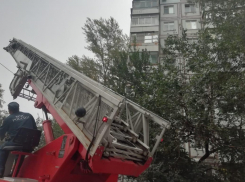 Найденная мертвой в сгоревшей на Еременко квартире ростовчанка была убита