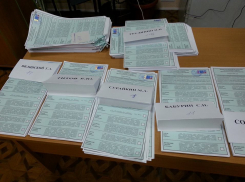 Кто считает наши голоса на выборах: в Ростовской области идет формирование избирательных комиссий