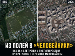 Из полей в «человейники»: как за 40 лет изменился Ростов, и почему не хватает инфраструктуры