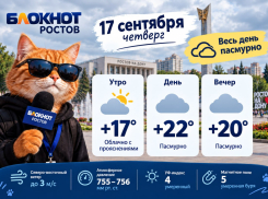 Погода в Ростове преподнесет облачную середину недели